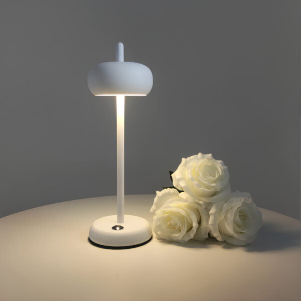 IMG lampe table champignon rechargeable 3